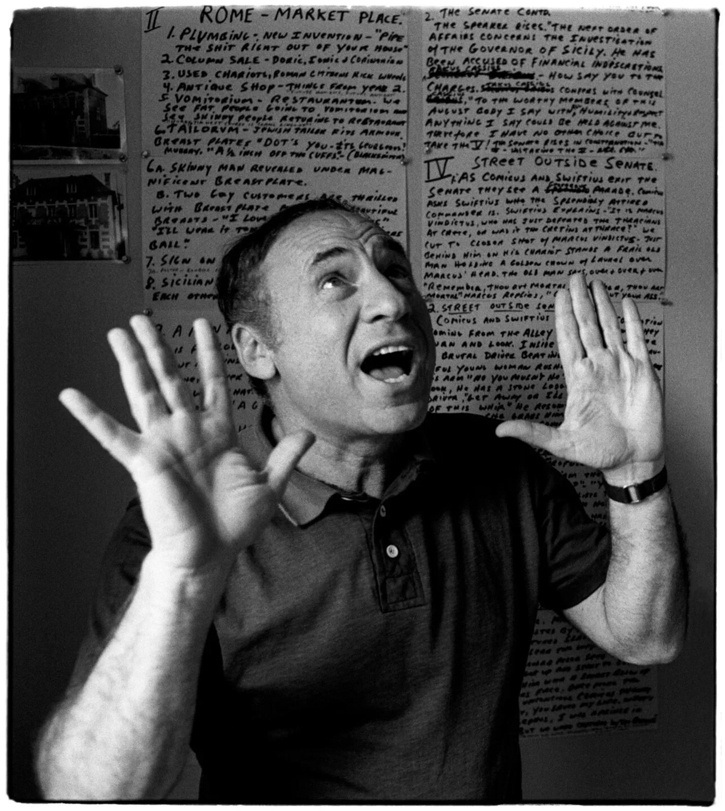 Mel Brooks in LA, Al Satterwhite, 1979