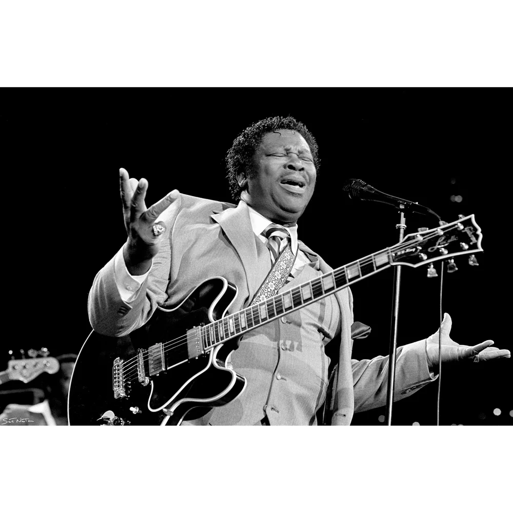 BB King by Scott Newton