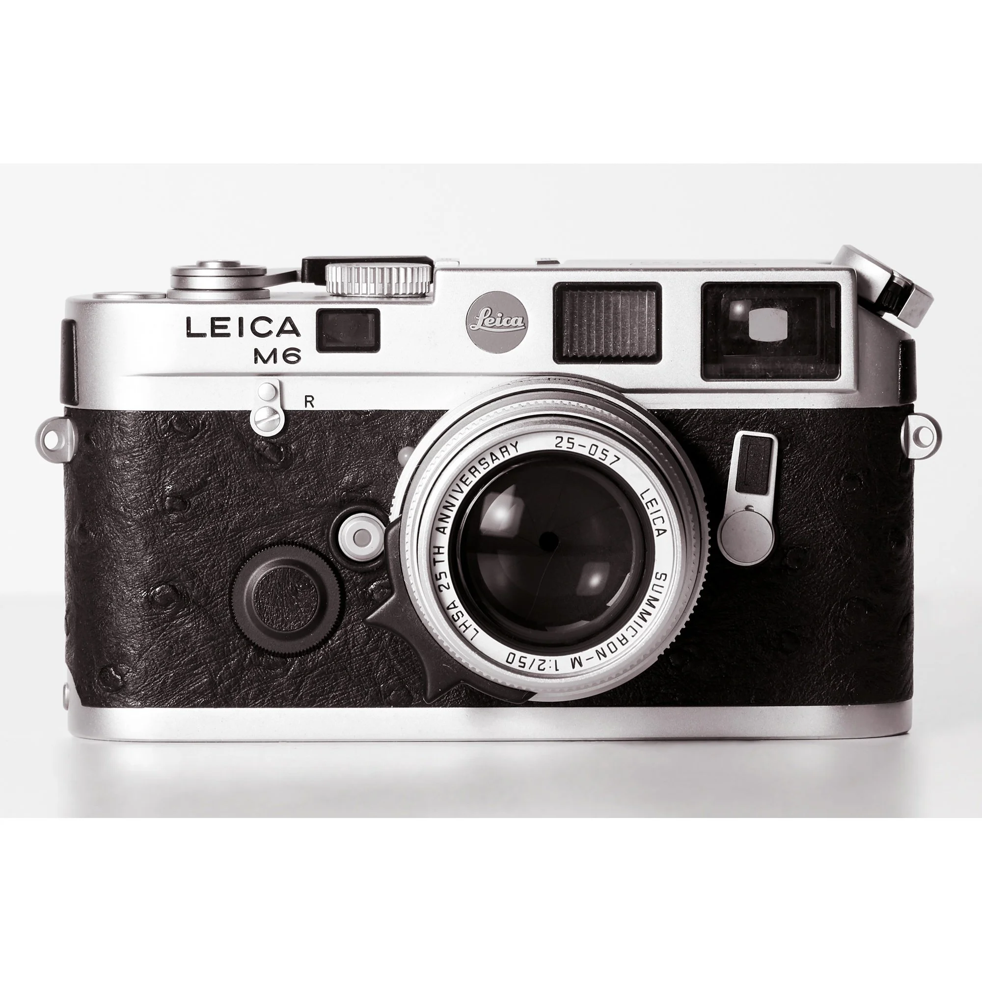 LEICA M6LE, 1992 - Pop Art Vintage Cameras by Antony Nobilo