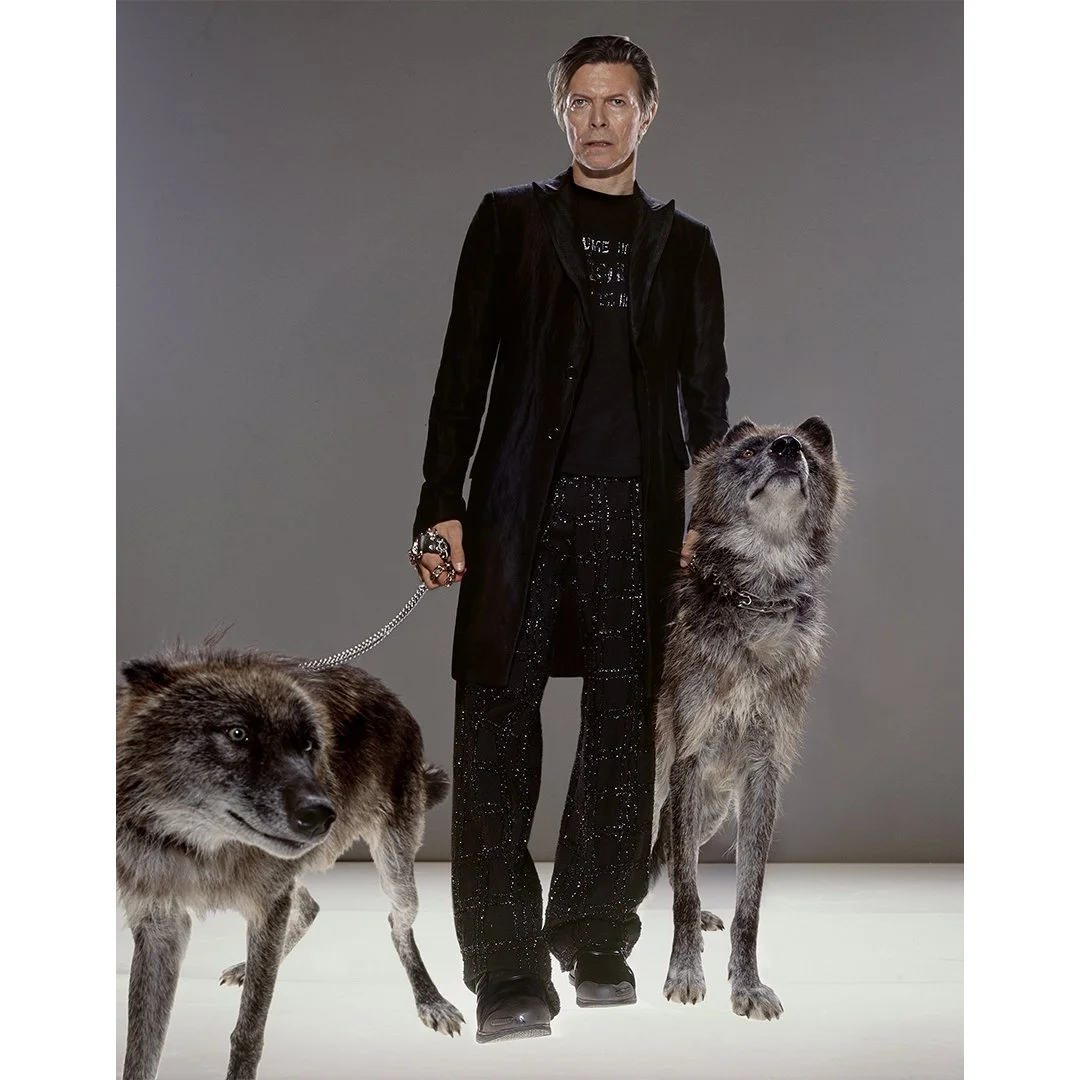 David Bowie "The Hunt" by Markus Klinko.