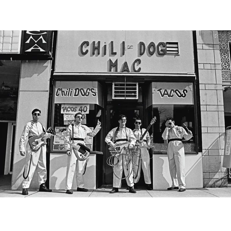 Devo by Janet Macoska