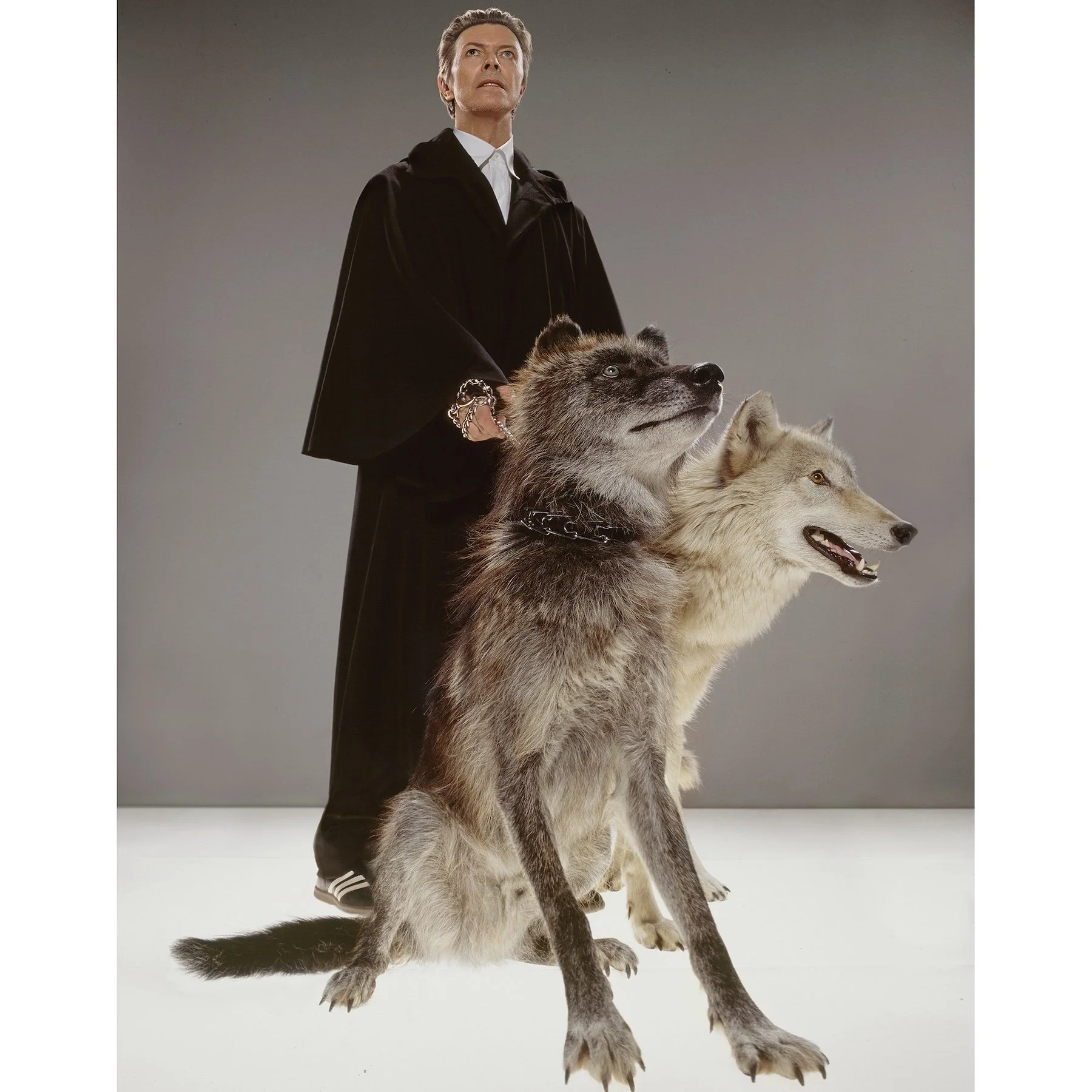 David Bowie "The Pack" by Markus Klinko.