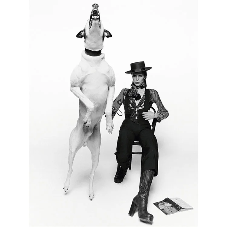David Bowie Diamond Dog, signed Lifetime Edition Print by Terry O'Neill