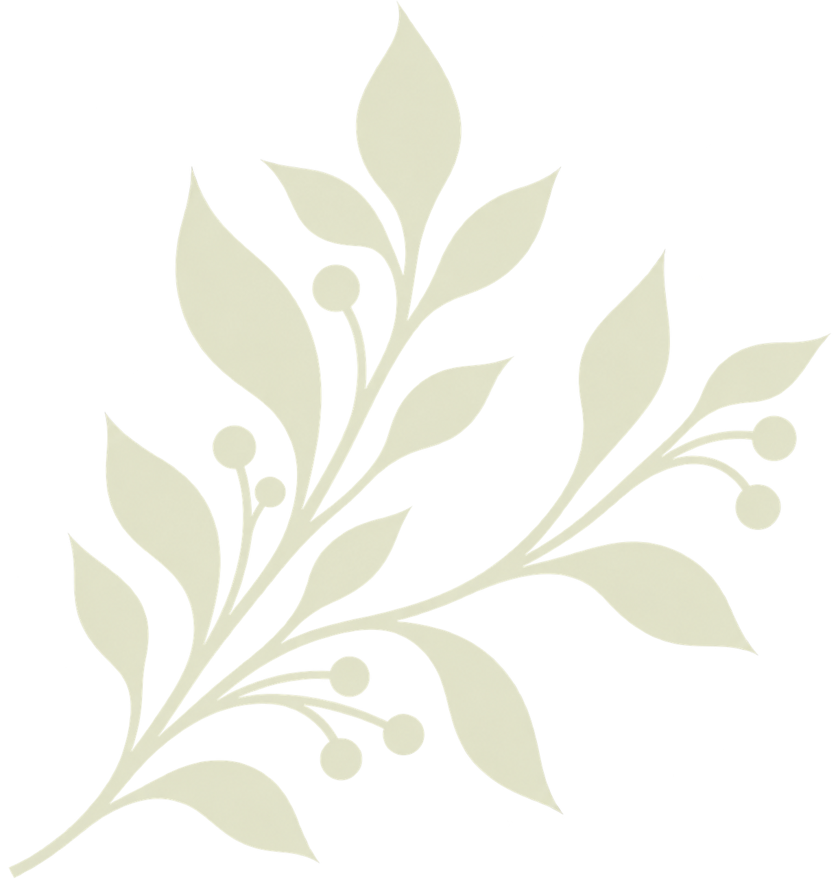 A decorative illustration of a plant with elongated leaves and round berries on a black background.