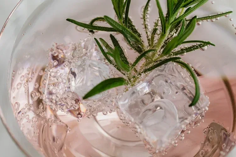 Green plant with long narrow leaves in a glass of sparkling water with ice cubes and bubbles.