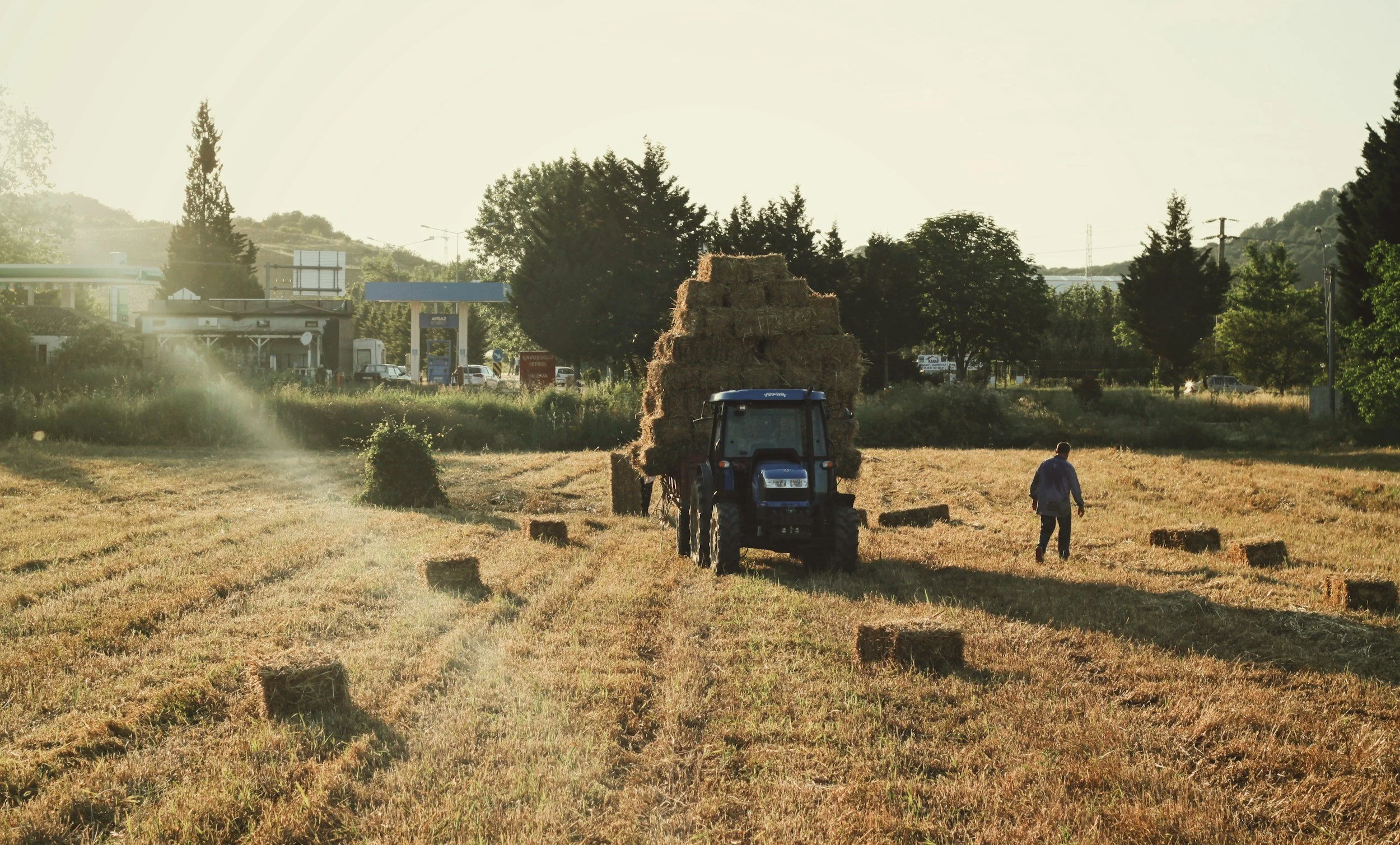 Market Value of Agricultural Products Sold