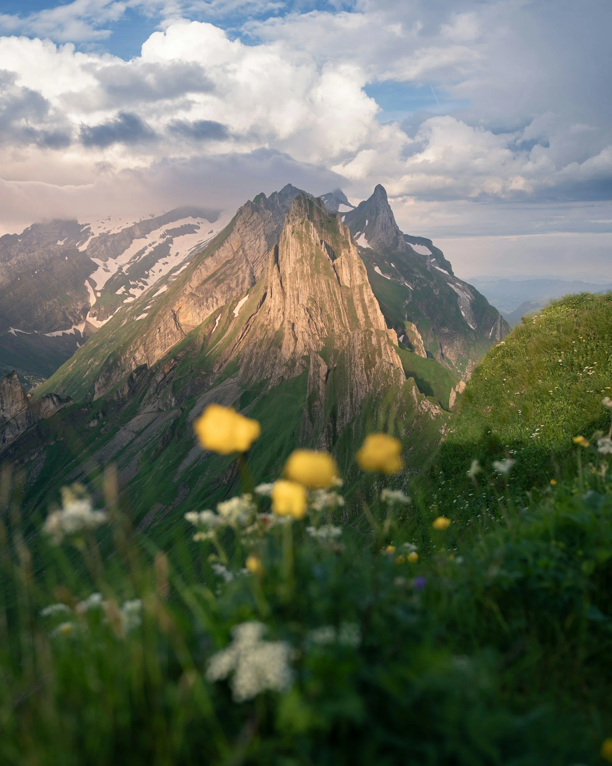 A mountain range with rugged, snow-capped peaks under a partly cloudy sky, with yellow and white flowers in the foreground.
