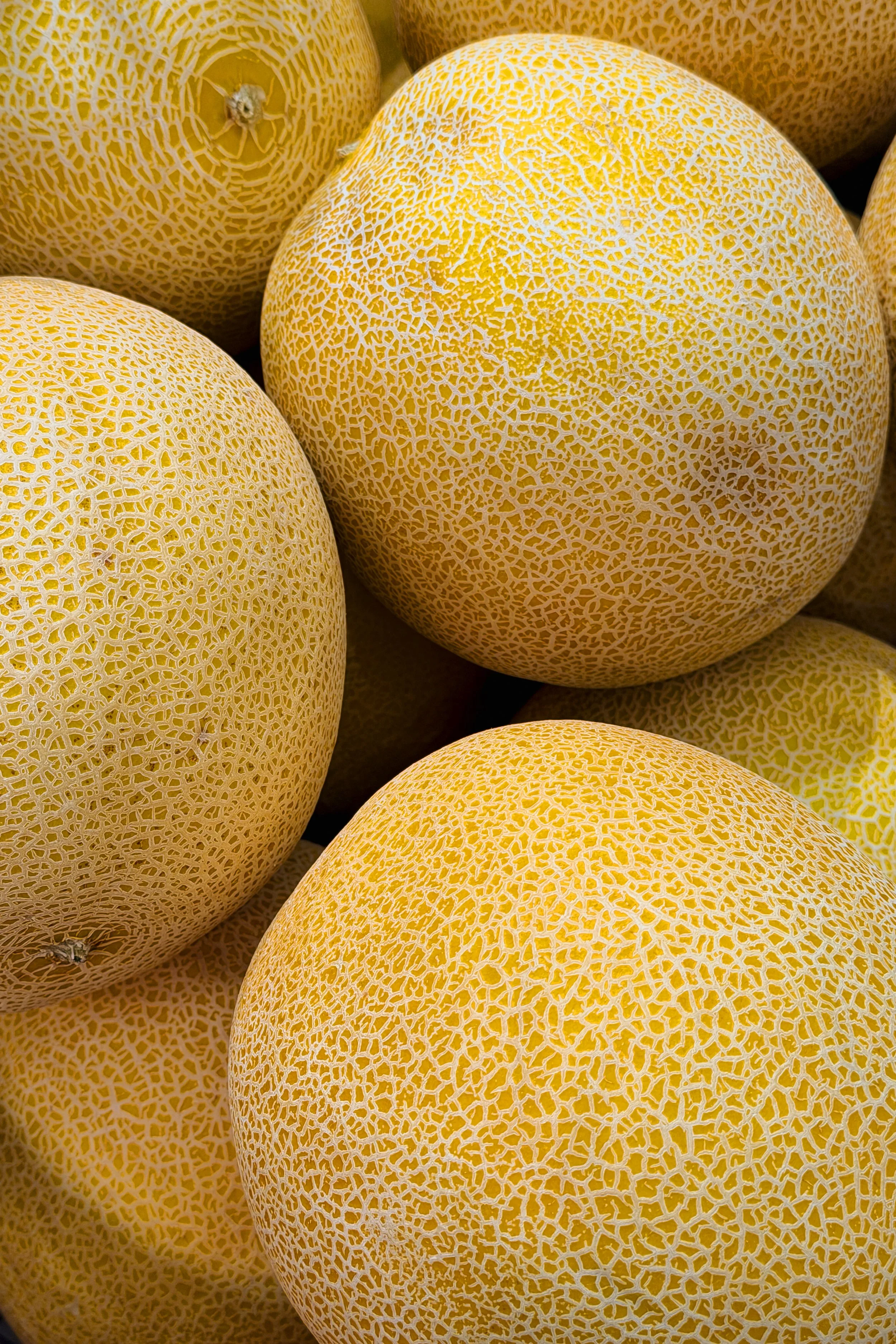 Cantaloupes