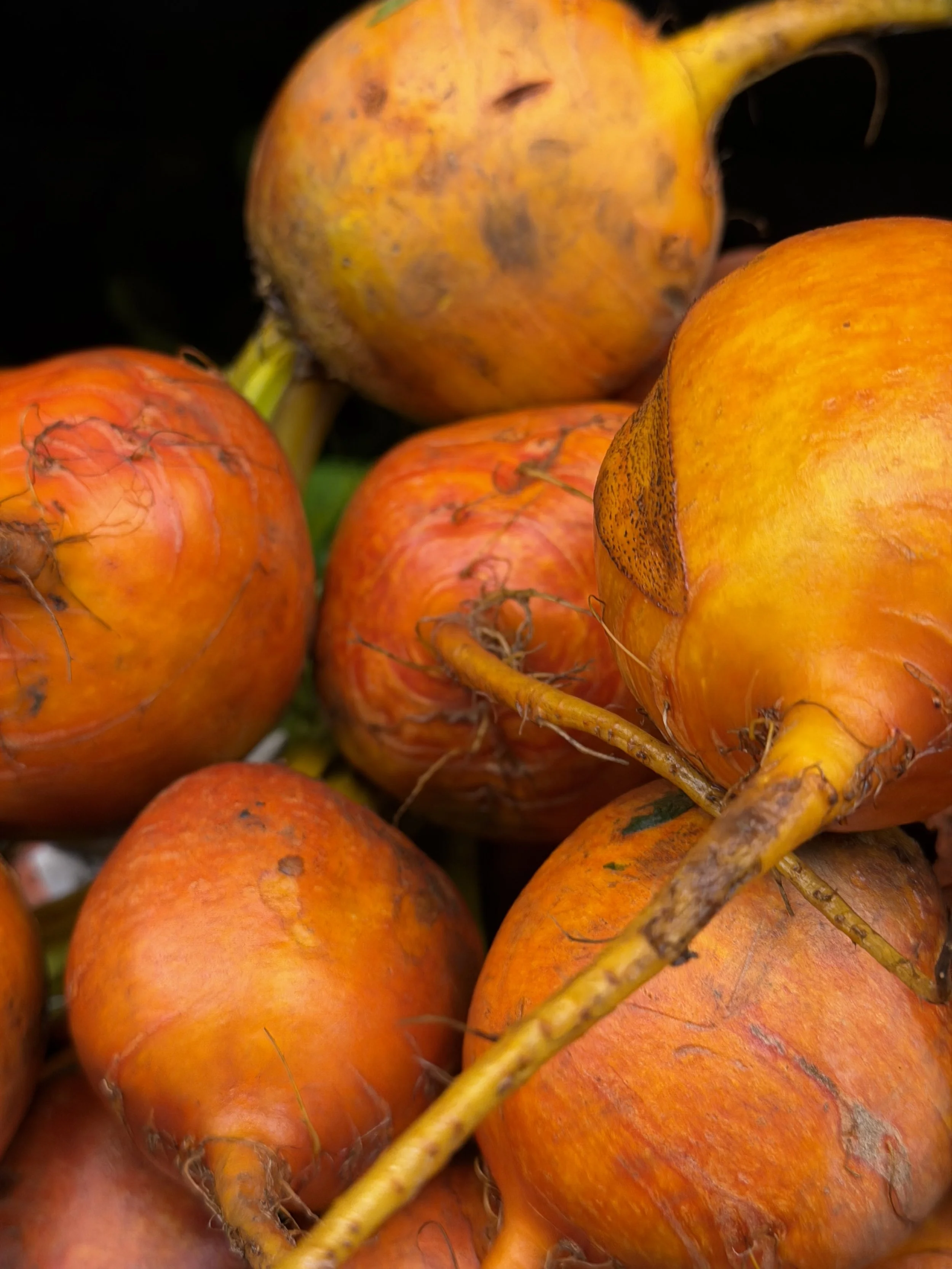 Local Beets