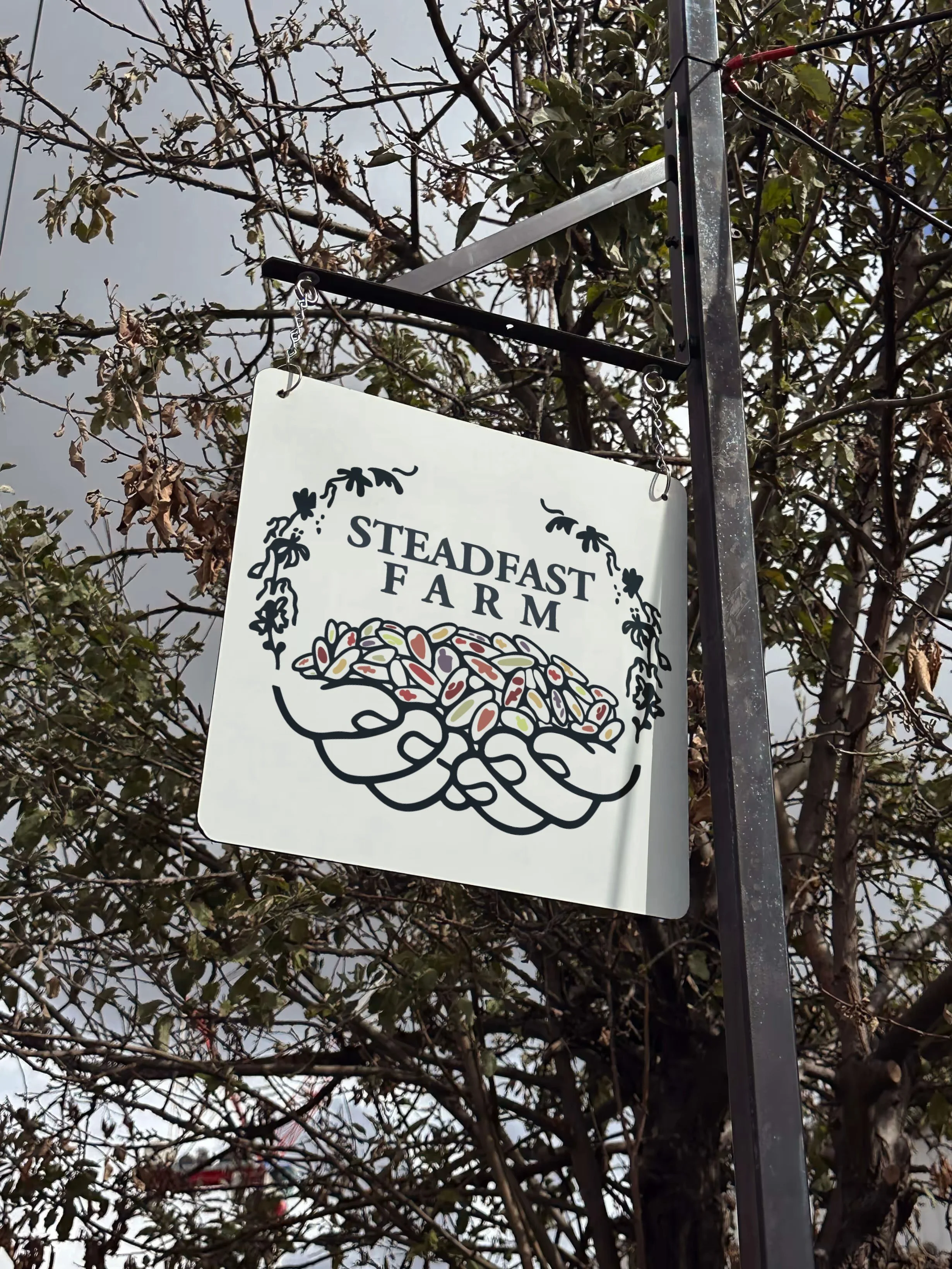 steadfast farm | logo redesign