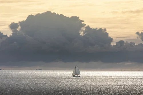 The natural highlights of Île de Noirmoutier 🇫🇷