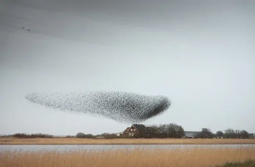 5 stunning natural highlights you should see in South Denmark