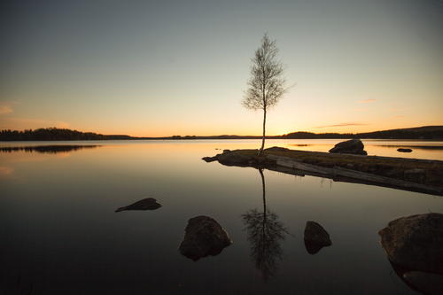 Swedish Lapland - Exploring Västerbotten 🇸🇪