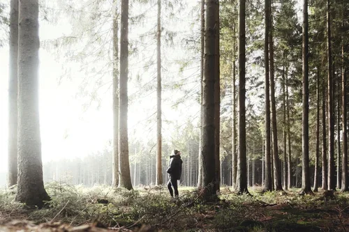 The Belgian Ardennes and The High Fens 🇧🇪