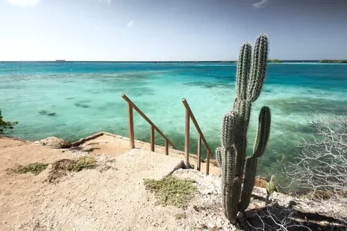 Aruba, one happy island! 🇦🇼