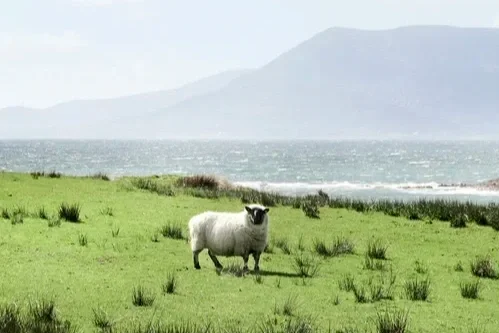 South West Ireland and the Wild Atlantic Way 🇮🇪