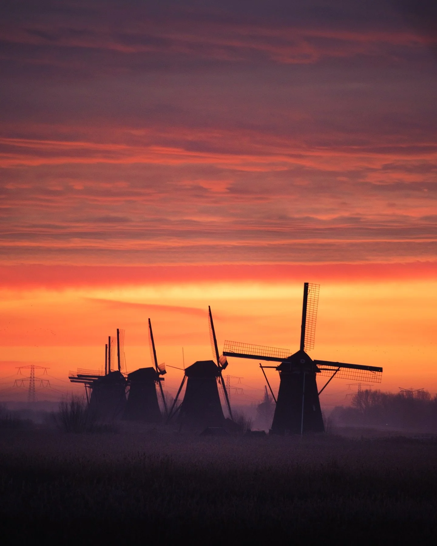 Not every morning is easy. But the good ones make it all worth it. Quiet moments, pure magic. 😍

#silence