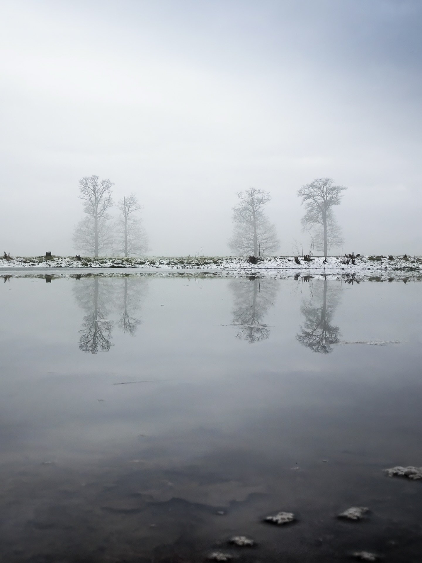 Silence and snow vibes. ❄️