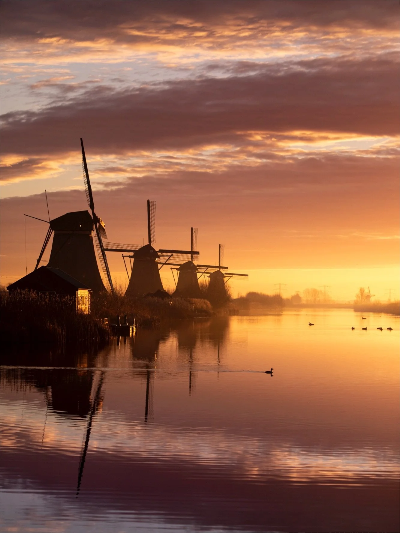 A perfect photography morning at Kinderdijk. A soft golden start to the day, captured in a lucky moment of stillness. 📷✨

#kinderdijk #silence #sunrise