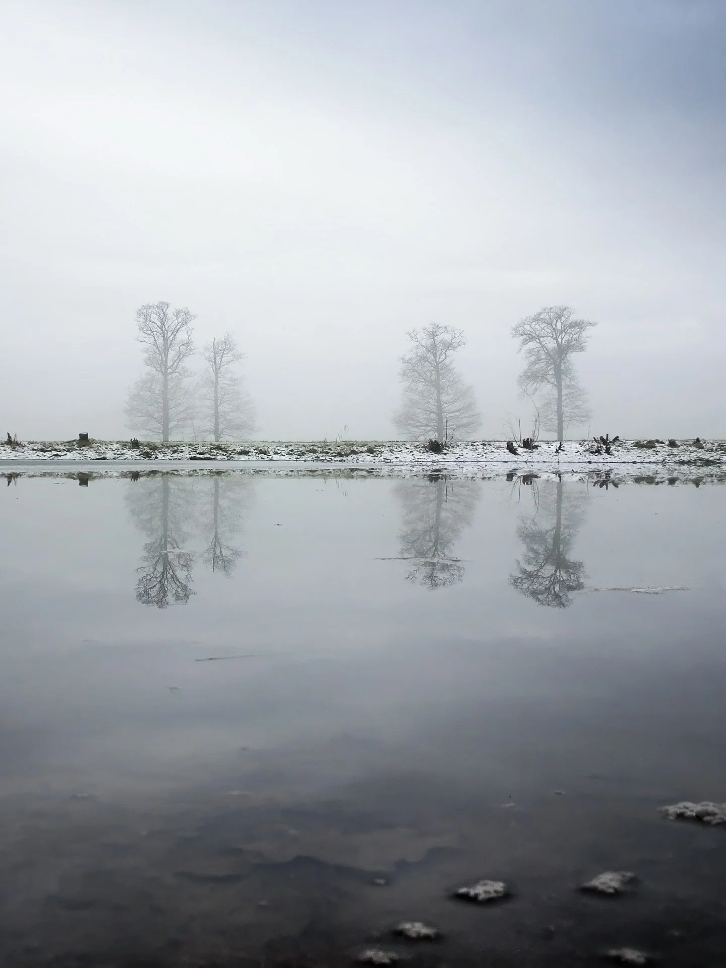 Silence and snow vibes. ❄️