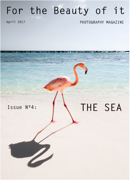 Magazine cover showing my wellknown Flamingo.