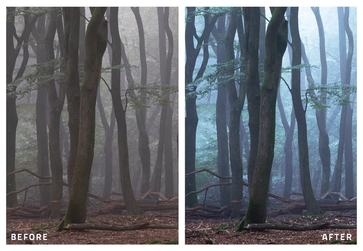 Adobe_lightroom_Forest_AI_Presets_by_Claire-Droppert-Photography-3.jpg
