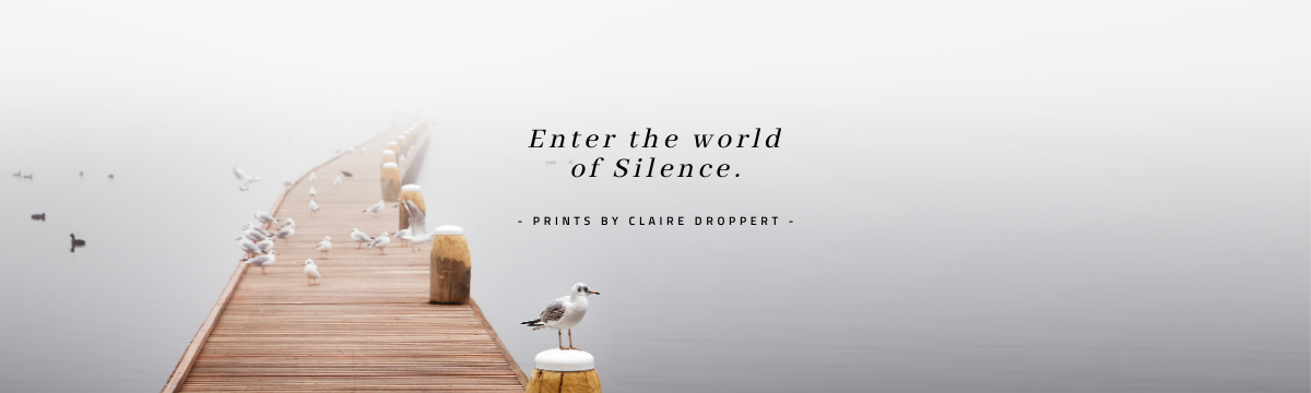 A foggy wooden pier extends over calm water with seagulls standing on and around it, accompanied by a caption saying 'Enter the world of Silence' and credit to Claire Droppert.