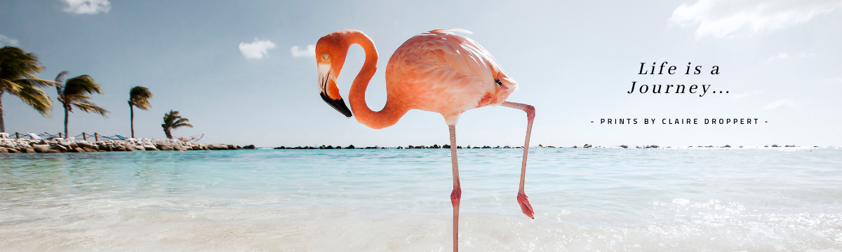 A flamingo standing in shallow water at the beach with a clear sky and palm trees in the background, with the text "Life is a Journey..." by Claire Droppert.