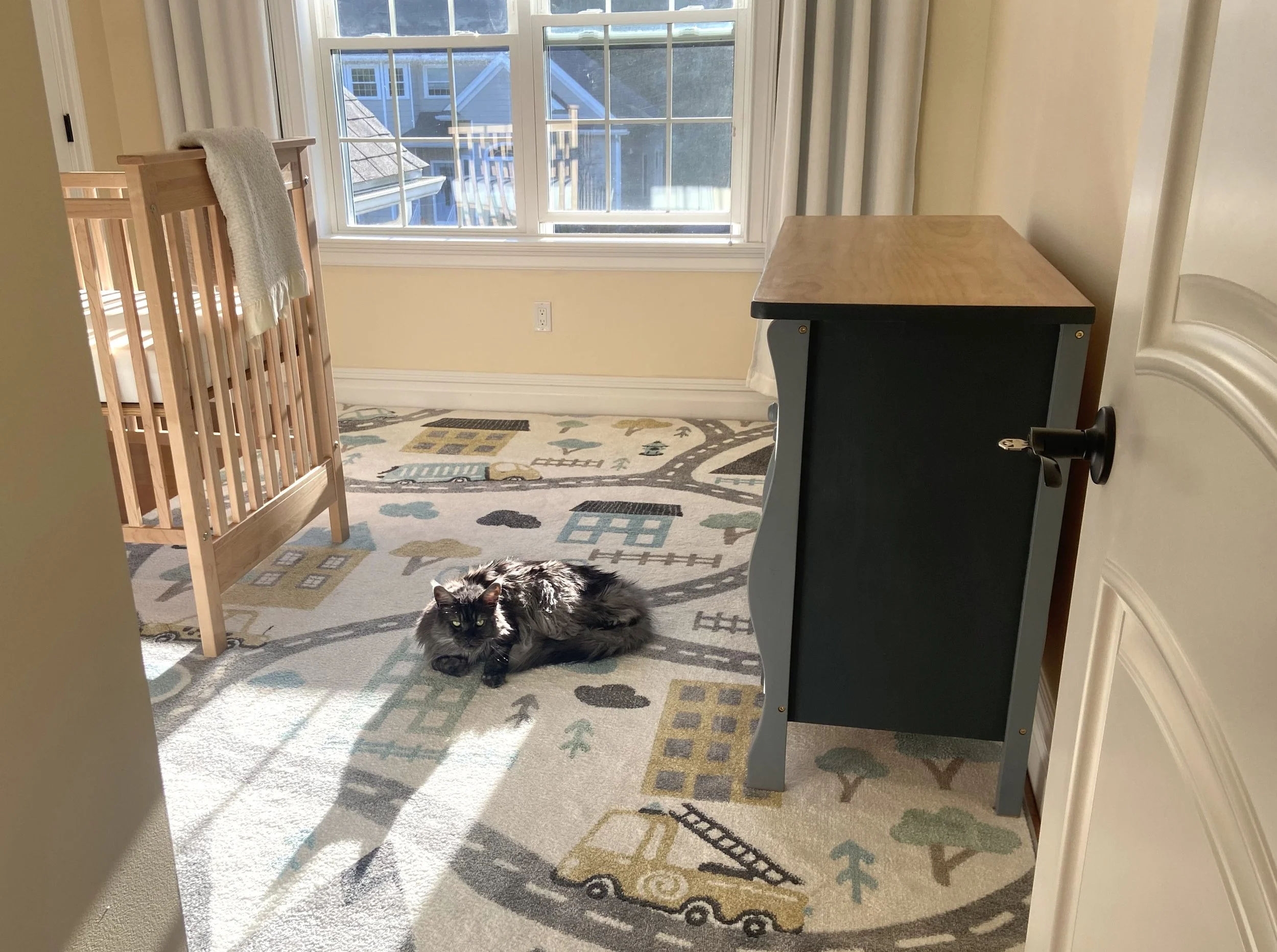Cozy nursery with a natural wood crib, playful patterned rug, and soft daylight, creating a calm and welcoming baby space.