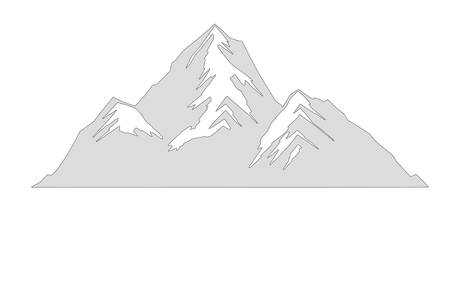 Steadfast Insurance