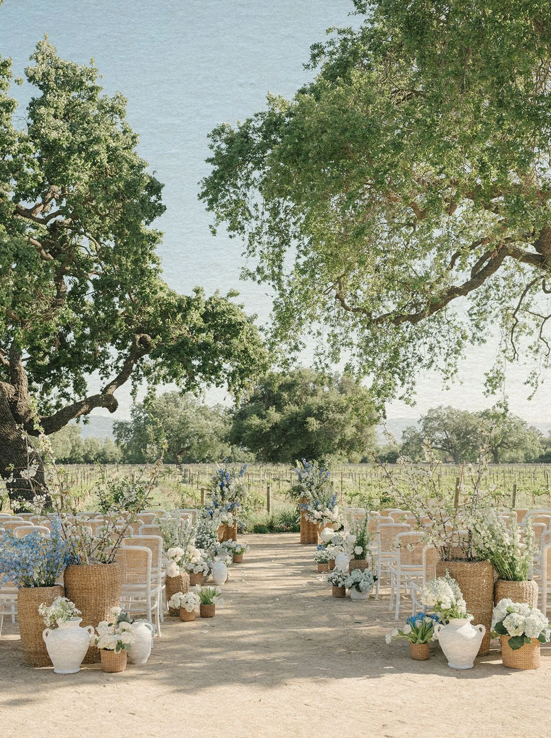 Outdoor wedding setup under large trees, with white chairs and floral arrangements in baskets lining the aisle. Sunny and serene vineyard backdrop.