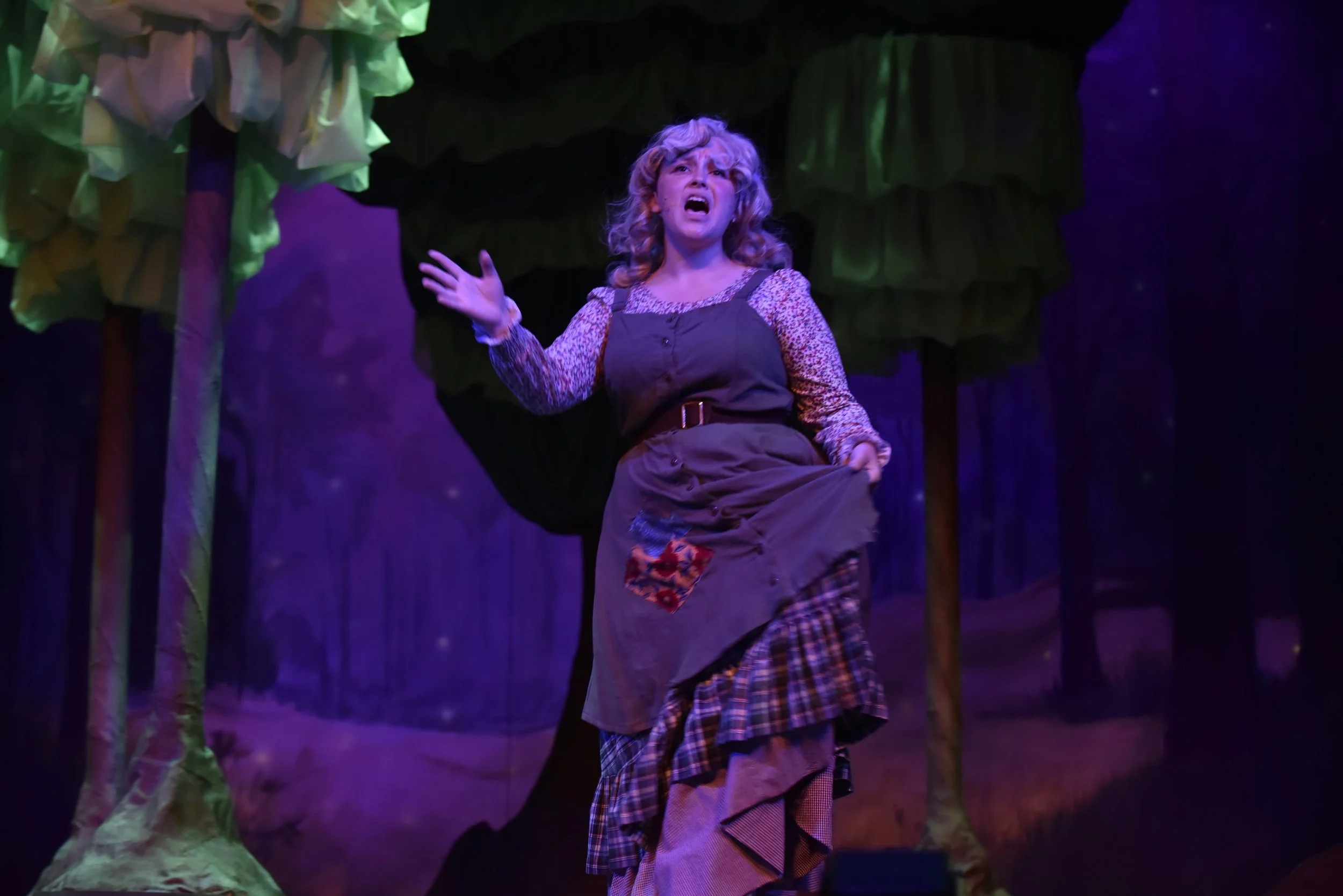 Into The Woods (2023)