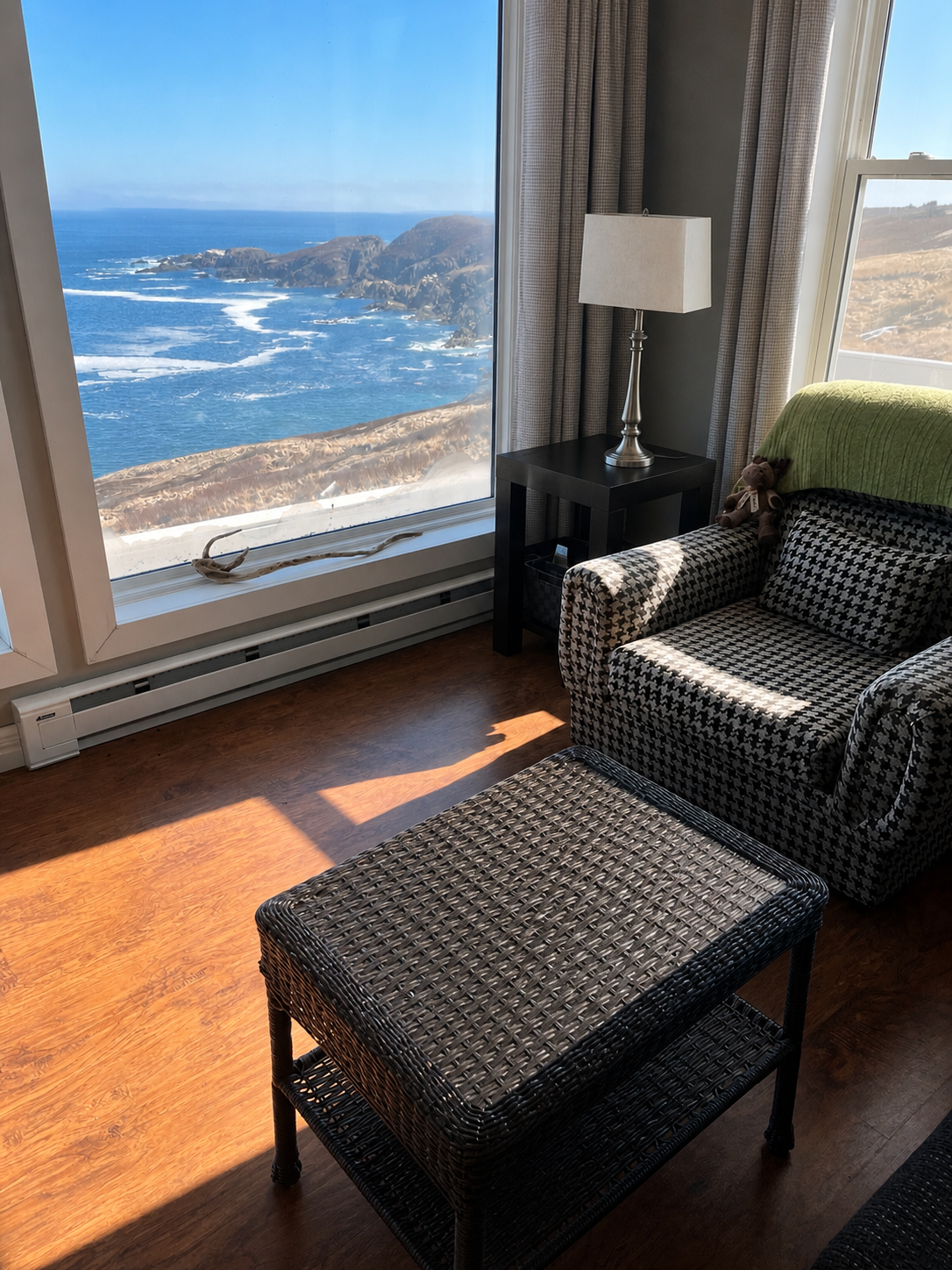 How Often Should Remote Property Owners Check Their Newfoundland Properties! 