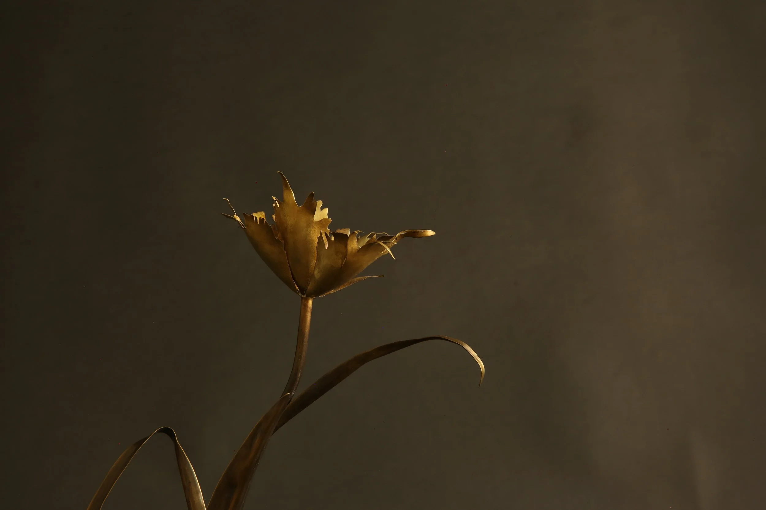 382A8136.JPG