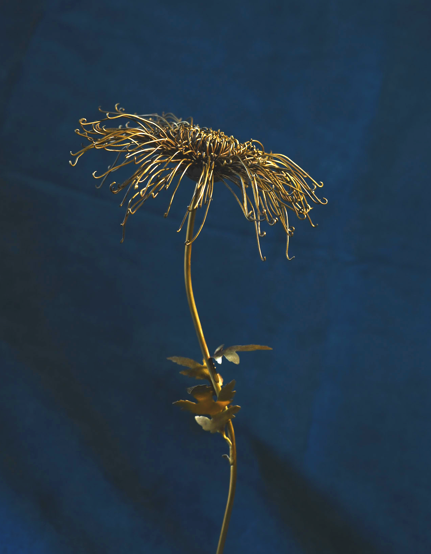 Screenshot 2025-12-16 at 9.42.47 AM.png