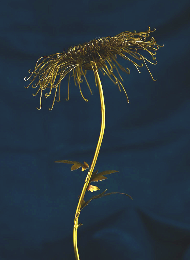 Screenshot 2025-12-16 at 9.46.51 AM.png