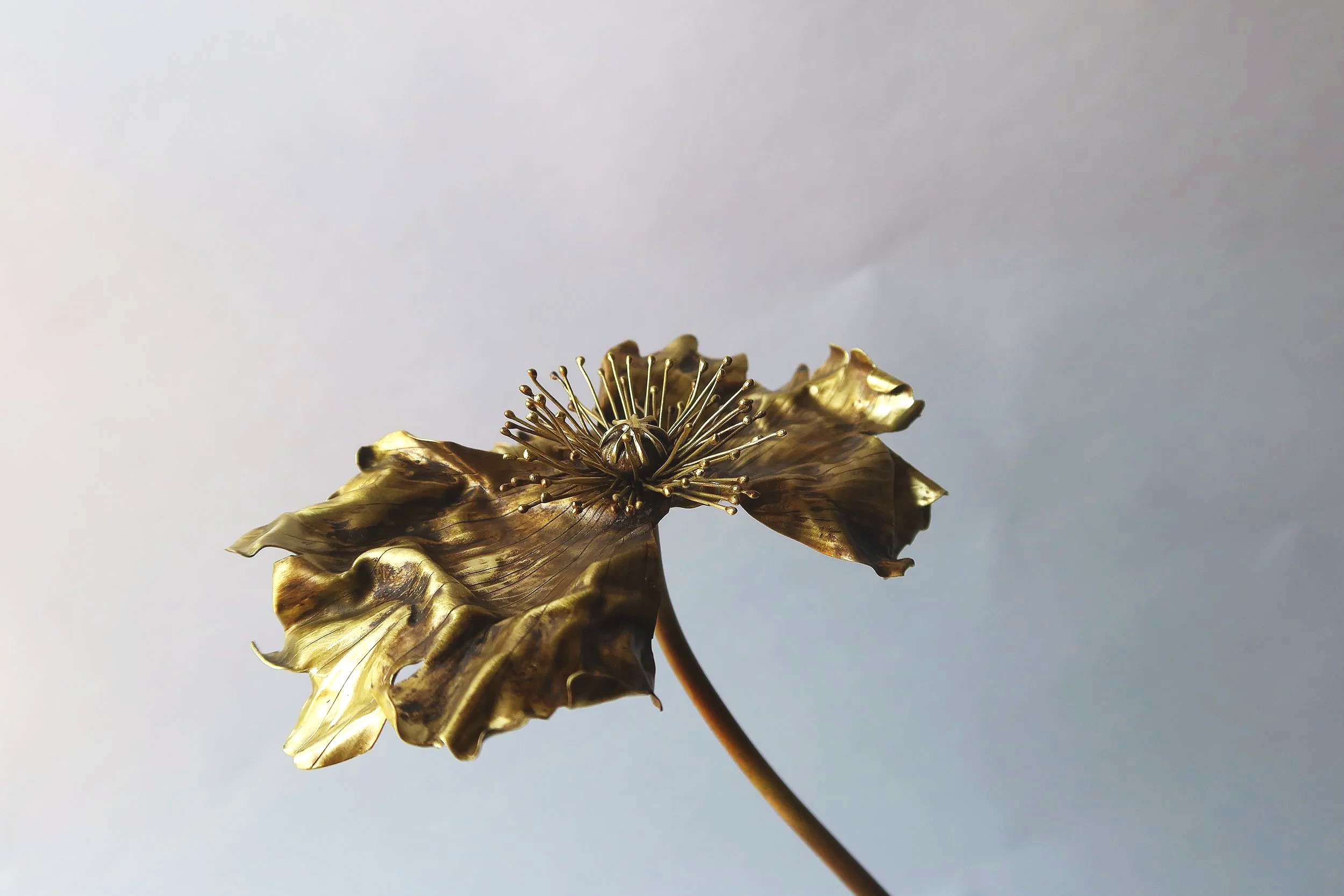 IMG_0137.png