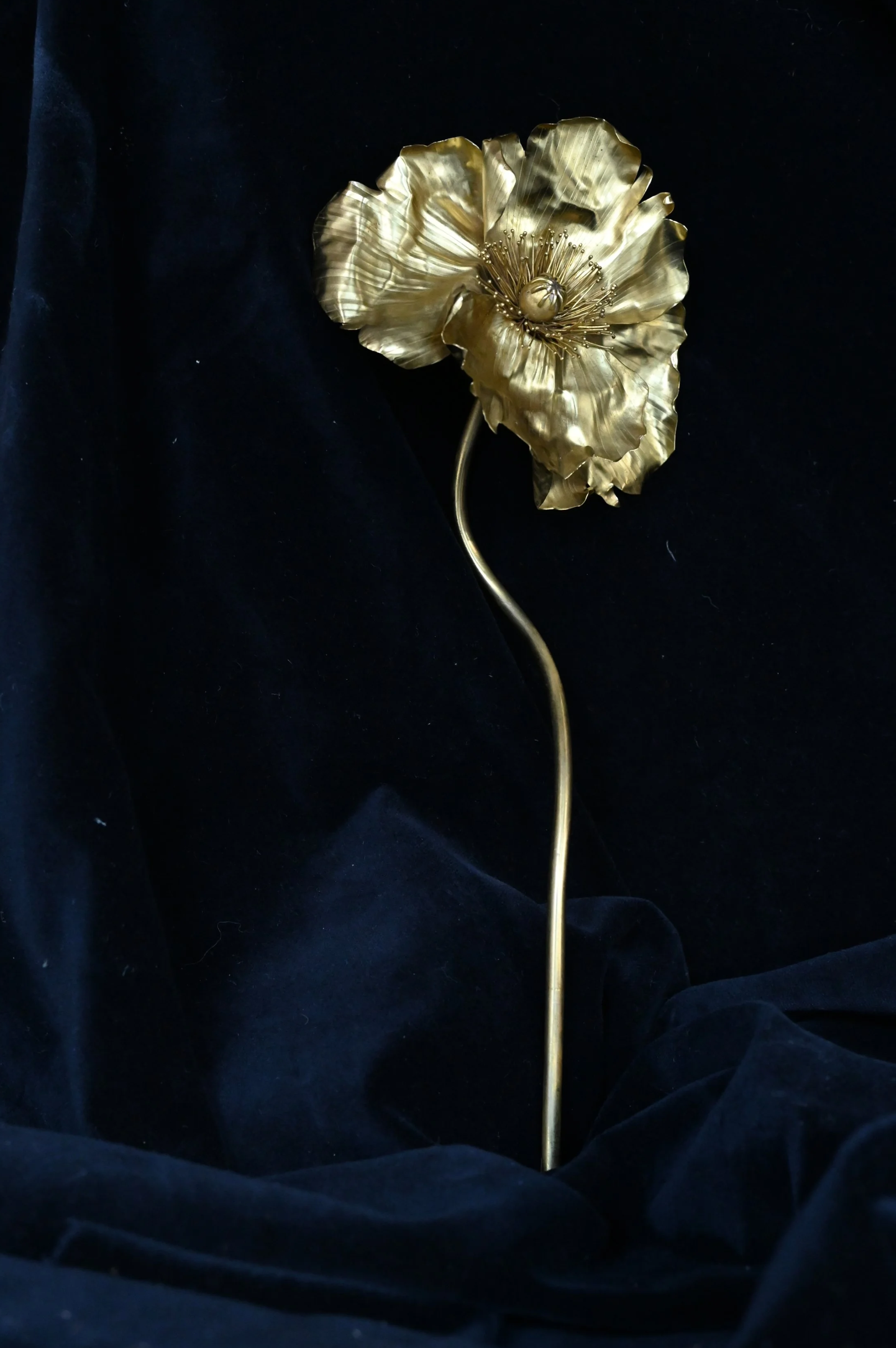 DSC_2038.png