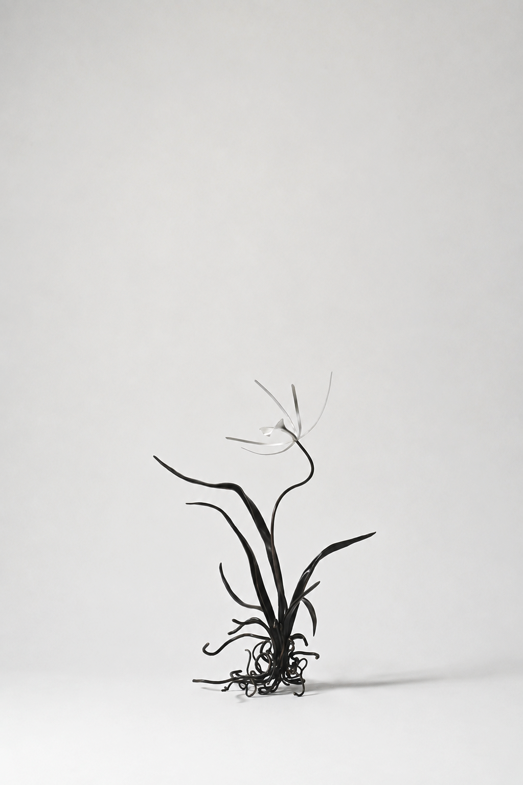 1cc10486-e06f-43b9-8c66-a60f5503320b.png