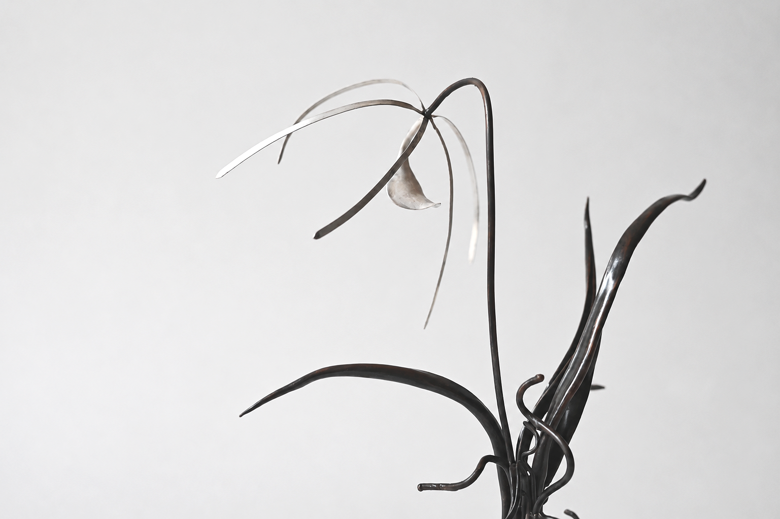 abd9892f-5420-4ed5-b2cb-cdd158b9c3c5.png