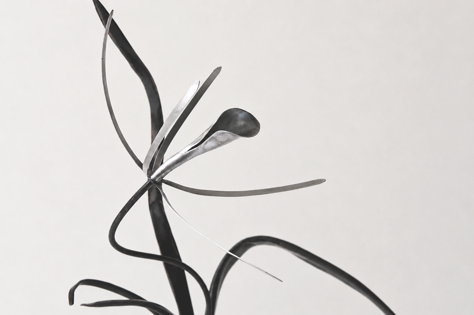 f60bcbd1-f8ef-4bb6-a819-f5c66450fff4.png