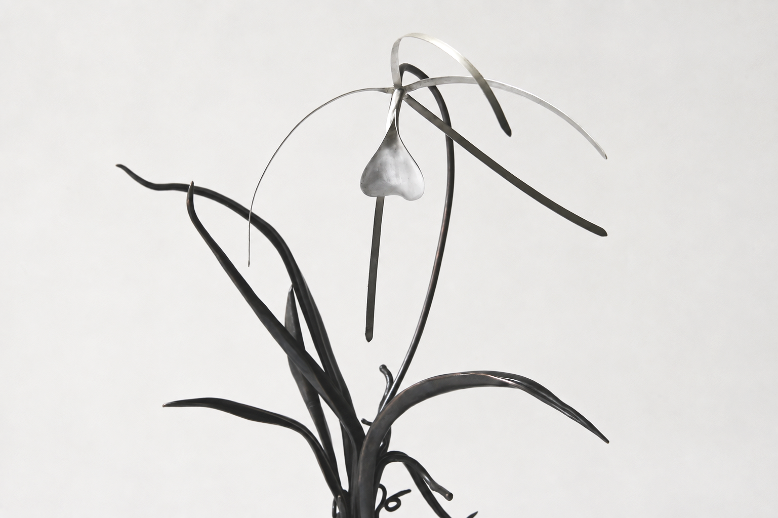 b0ca3640-04c9-4d02-8db0-e59926a6f0a1.png