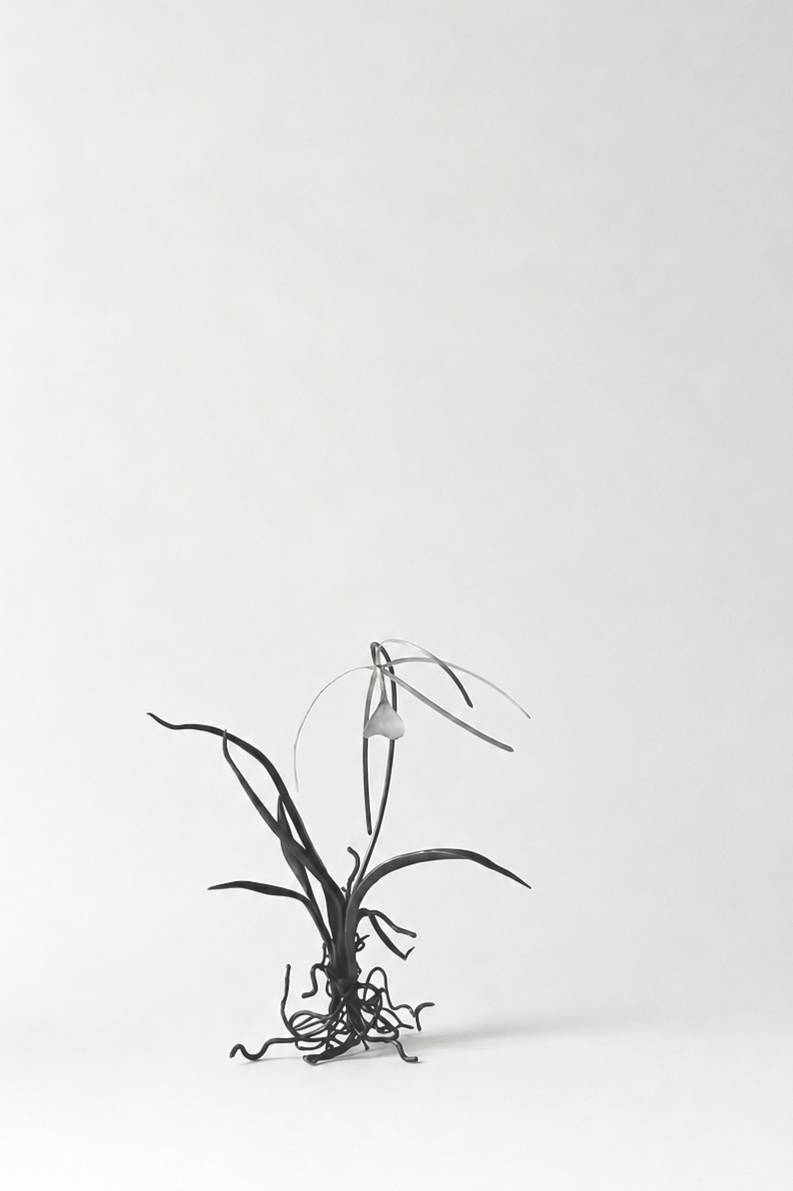 1165a7d3-70ea-4d37-a898-577af7339a24.png