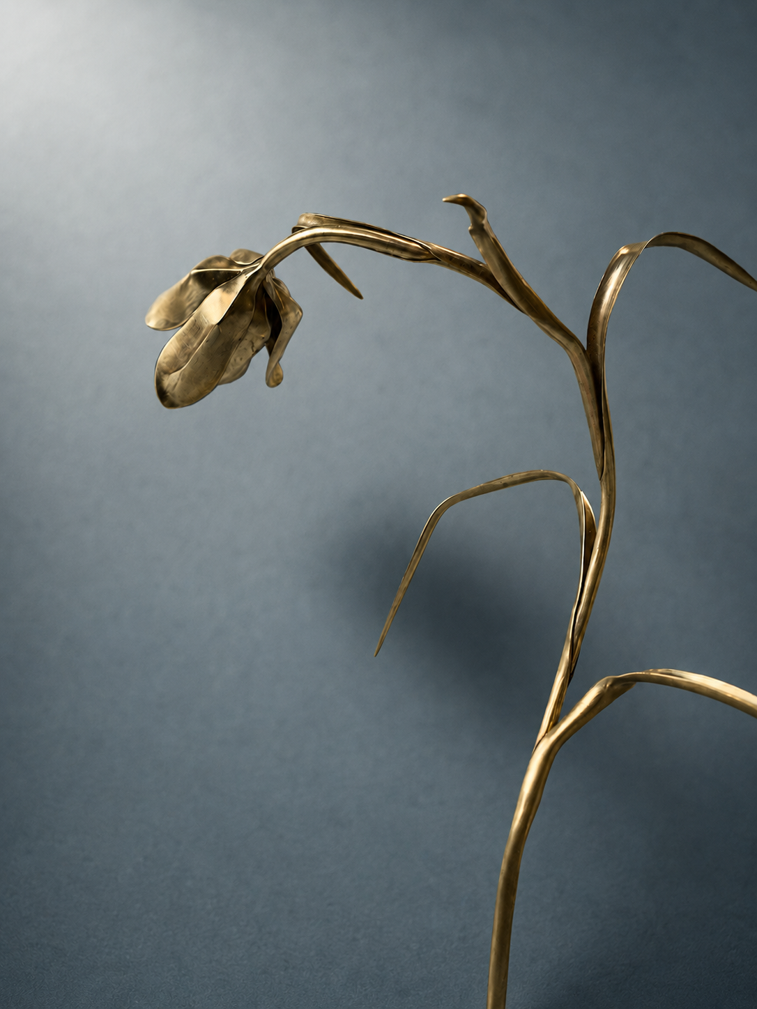 2f12e0e9-a2cb-459c-90c9-c3be84682af5.png