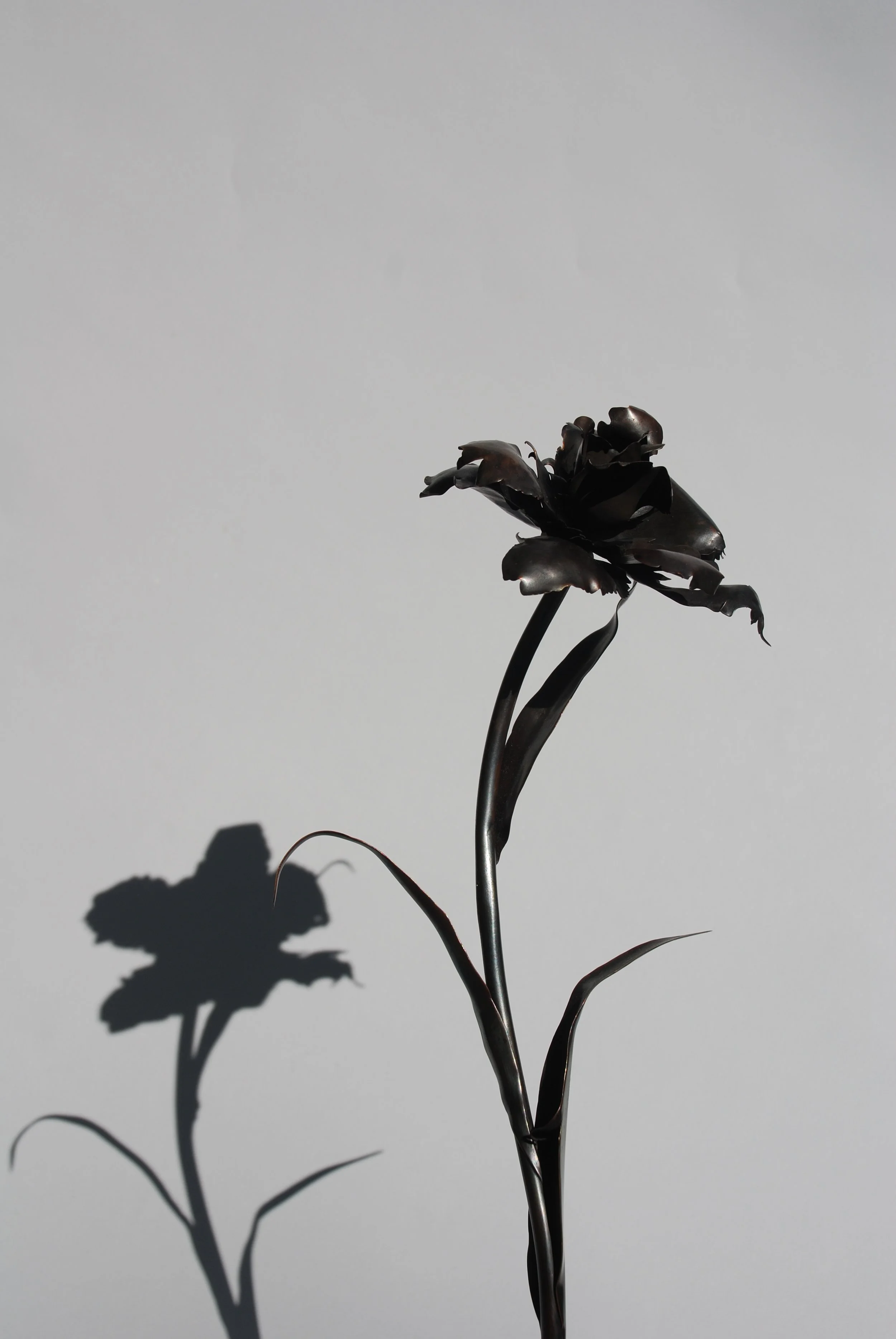 DSC_0054 copy.JPG