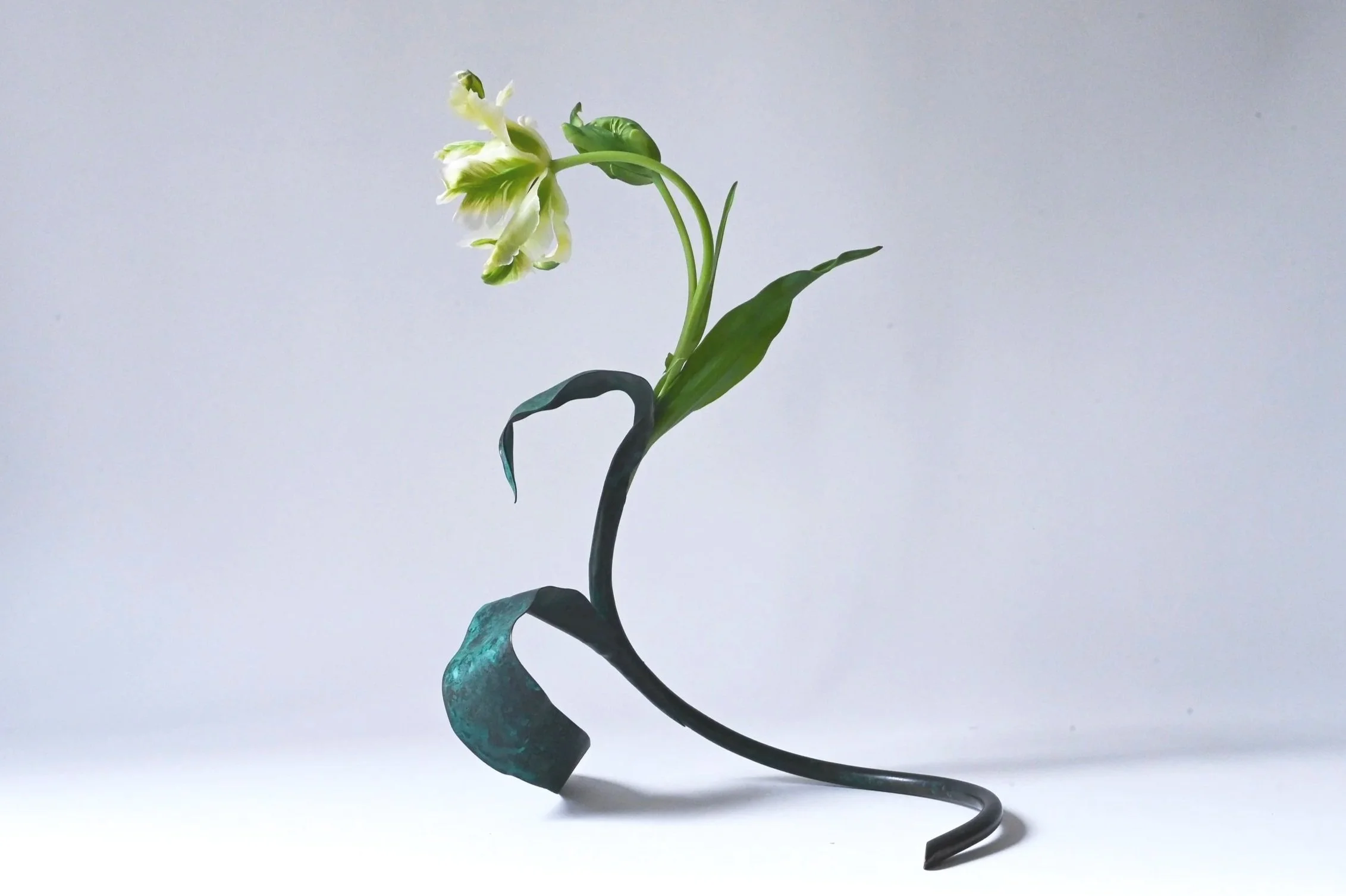 Tulip Vases