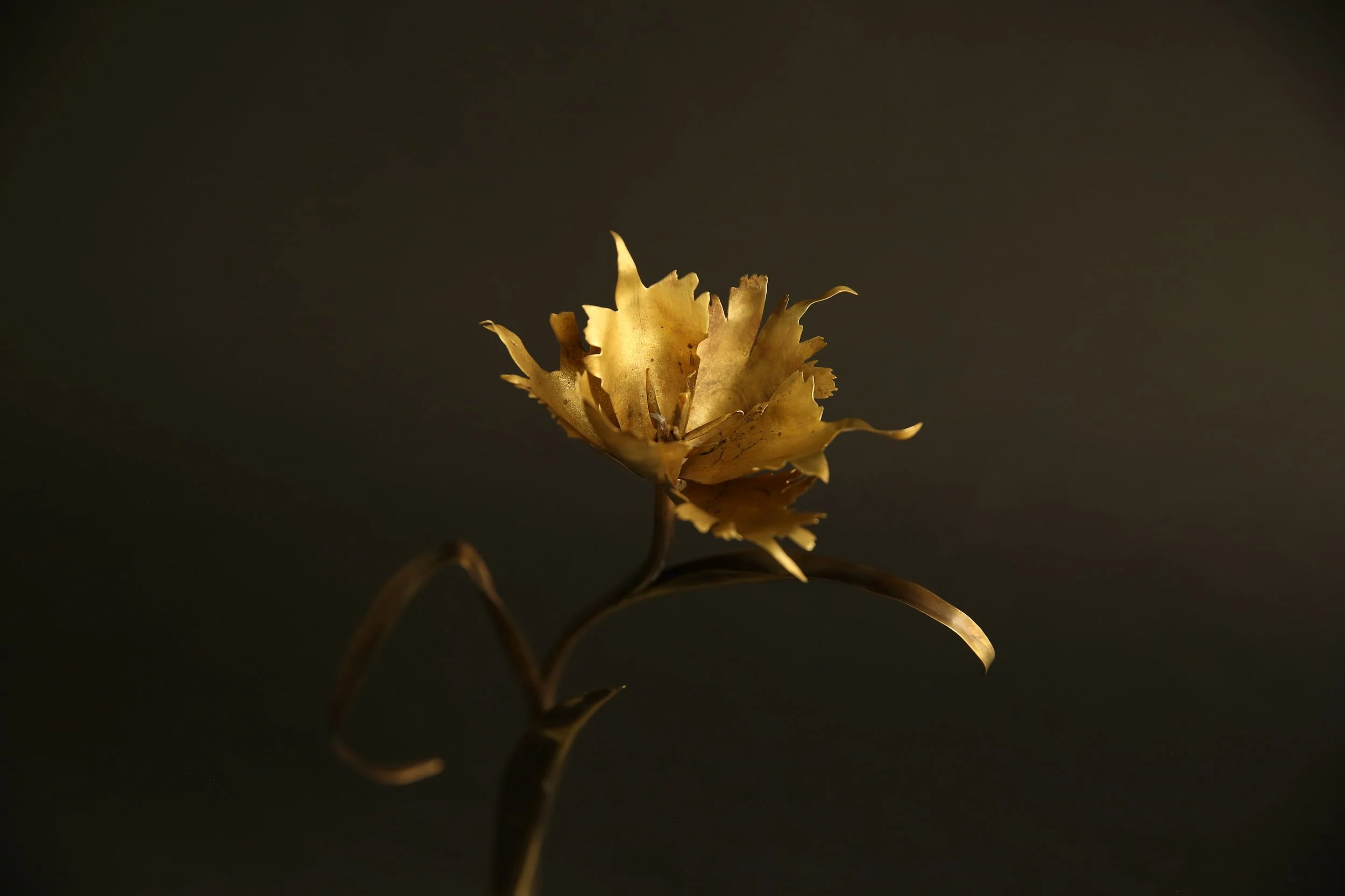 382A8130.JPG