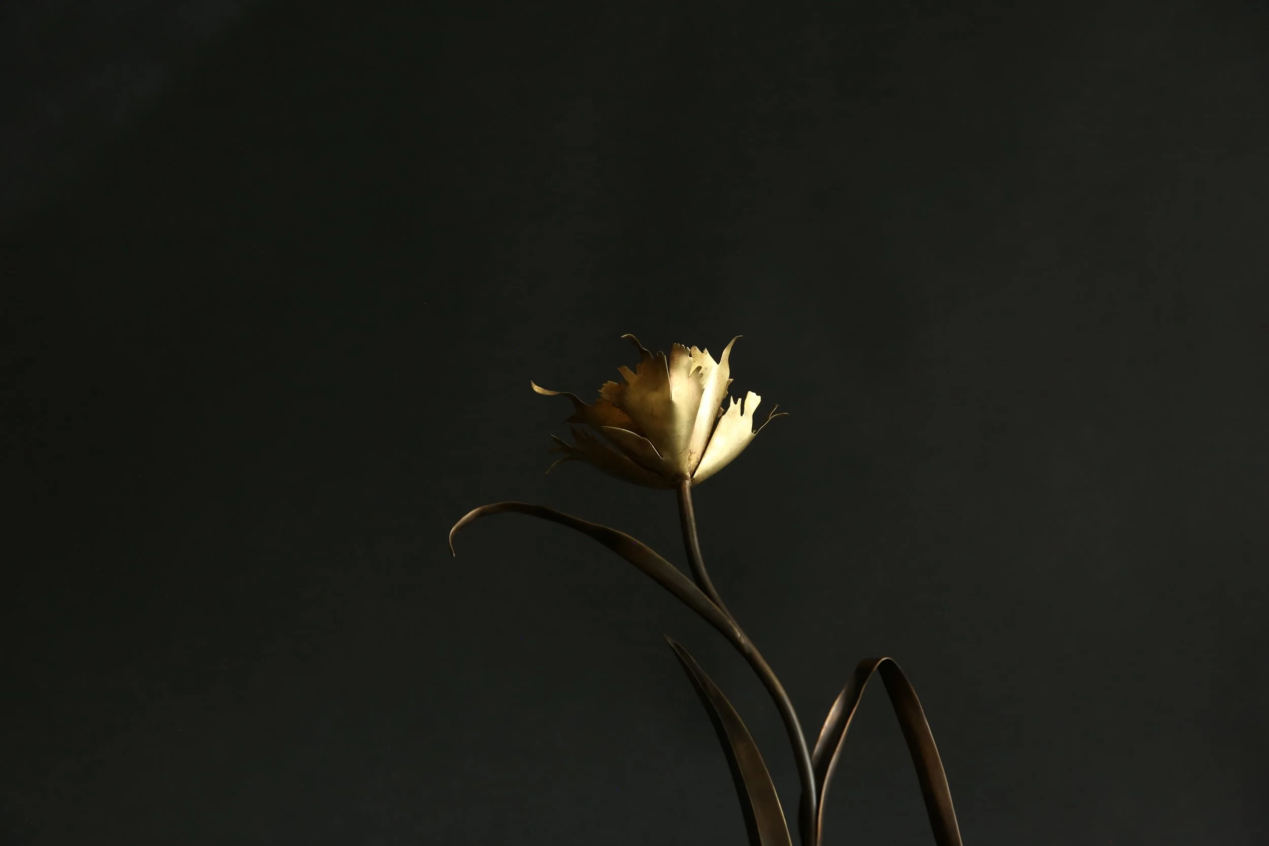 382A8139.JPG