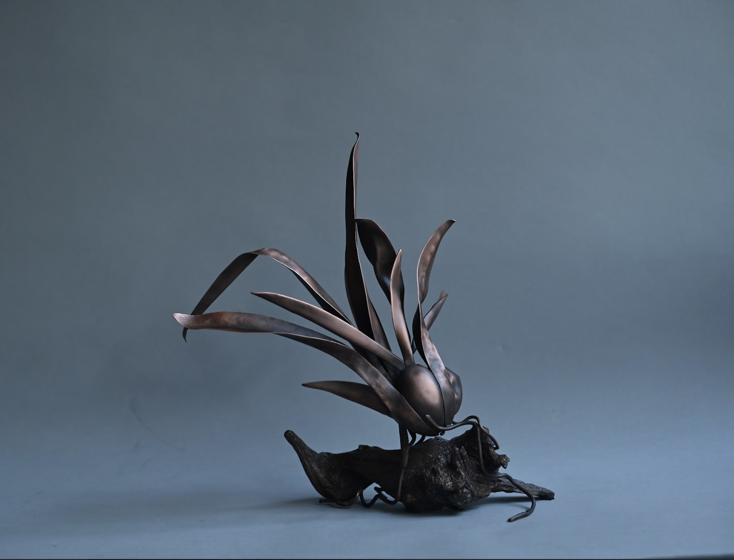 Screenshot 2025-12-05 at 9.07.35 PM.png