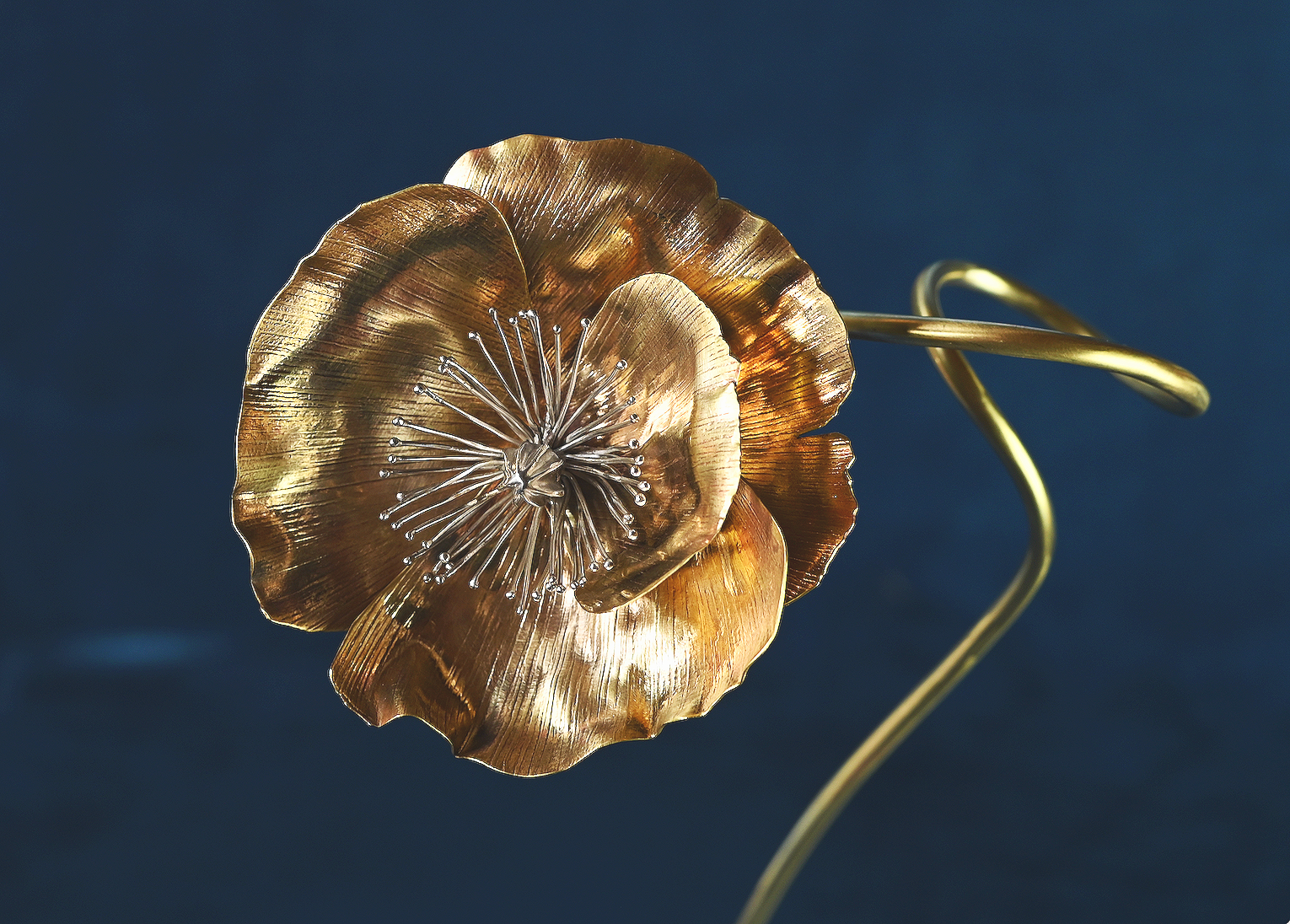 Papaveracea